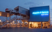 acquario p